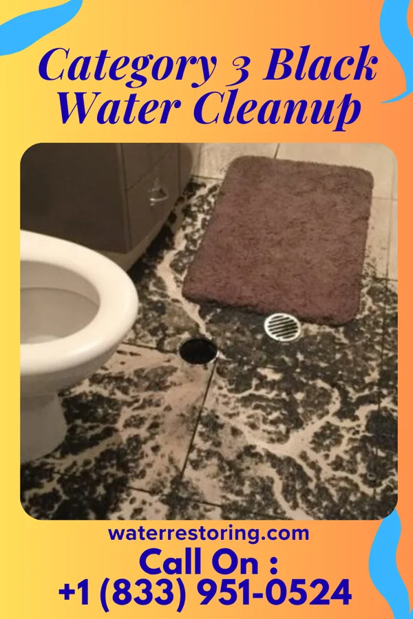 Category 3 Black Water Cleanup in St. Donatus, IA