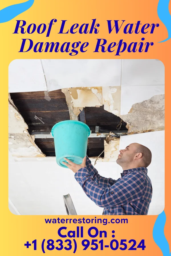 Roof Leak Water Damage Repair in St. Donatus, IA